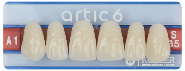 Economy Tooth Options