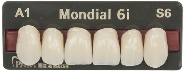 Standard Tooth Options